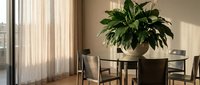 Modern dining room interior with round glass table, contemporary chairs and large green houseplant creating elegant home decor atmosphere.