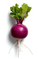 Fresh purple turnip with green leaves and white root isolated on white background, ready for food and agriculture designs.