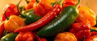 Fresh colorful hot chili peppers mix with water droplets. Spicy red green orange jalapeno cayenne peppers for cooking seasoning and culinary ingredients.