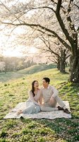 Happy young Asian couple enjoying romantic picnic under blooming cherry blossom tree in spring park during golden hour sunset for engagement photography.
