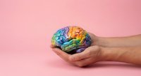 Human hands holding colorful rainbow brain model representing mental health awareness, psychology education and neuroscience concepts on pink background.