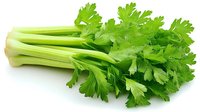 Fresh green celery stalks with bright leaves isolated on white background, raw organic vegetable for healthy eating and cooking.