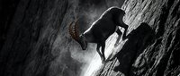 Silhouette of mountain climber scaling steep rock face with dramatic lighting and misty atmosphere for adventure and extreme sports concepts.