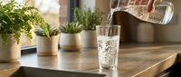 Pouring fresh sparkling water into glass on kitchen counter with potted plants and natural light, suitable for beverage, wellness, and lifestyle content.