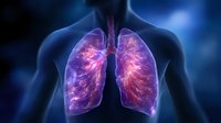 Glowing purple and pink human lungs visualization on dark blue background showing detailed bronchial tree and pulmonary vessels in medical anatomical illustration.