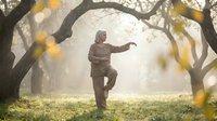 Senior African American man practicing tai chi in autumn park with golden sunlight filtering through trees creating peaceful morning exercise scene.