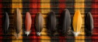 Natural feathers in brown, black, orange and white arranged in row on red and yellow plaid fabric background creating rustic autumn composition.