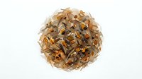 Dried flower ball made from natural petals and botanical materials, isolated on white background for design projects, crafts, and decorative applications.