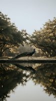 Majestic peacock standing by tranquil water with perfect reflection among autumn trees in serene park setting for nature and wildlife photography.