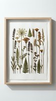 Pressed botanical specimens arranged in wooden frame displaying dried wildflowers, ferns and herbs for natural home decor and herbarium collection.