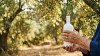 Senior male farmer holding white bottle of olive oil in orchard with green trees, agricultural harvest and production concept for food industry and farming business.