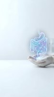 Holographic digestive system floating above cupped hands on white background for medical healthcare and gastroenterology concepts.