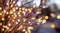 Glowing decorative branch lights with warm bokeh background create magical festive atmosphere for holiday and winter season celebrations.