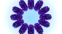 Purple hyacinth flowers arranged in circular pattern on light blue background creating decorative floral frame with copy space in center.