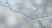 Glossy glass DNA double helix strand on soft bokeh background, representing genetics, biotechnology, and molecular biology research.