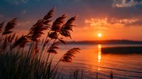 Golden sunset over calm lake with tall reeds swaying in foreground creating peaceful nature scene with warm orange and pink sky colors reflecting on water surface.