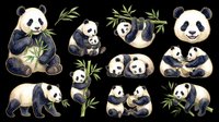 Adorable giant pandas in various poses with bamboo leaves, isolated on transparent background. Ready for t-shirt designs, stickers, clipart, sublimation, print-on-demand products and digital crafts.