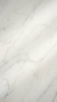 White marble texture with subtle gray veining throughout. Polished stone surface suitable for interior design, flooring, countertops, and architectural backgrounds.