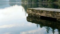 Weathered wooden log extending into calm lake water with forested shoreline and sky reflections, suitable for nature, landscape, and environmental design projects.