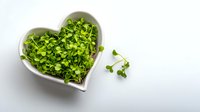 Fresh microgreens in heart-shaped white bowl on light background. Healthy eating concept for salads, garnishes, and nutritious meals.