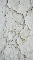 Weathered white paint peeling and cracking on old wall surface showing natural aging and deterioration patterns for vintage texture backgrounds.