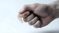 Close-up of adult male hand holding wooden spoon against white background, isolated for design use on kitchenware packaging, cooking blogs, culinary websites.