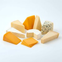 Assorted cheese varieties including cheddar, mozzarella, and blue cheese wedges and slices isolated on white background for food and dairy design projects.