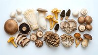 Assorted fresh and dried mushrooms arranged flat lay on white background for culinary and cooking projects.