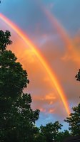 Vibrant double rainbow arches across orange and blue sunset sky, framed by dark green tree silhouettes creating dramatic natural contrast in evening atmosphere.