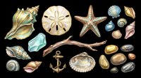 Watercolor sea collection with shells, starfish, anchor, driftwood, stones, and crystal, isolated on transparent background. For clipart, stickers, t-shirt design, print on demand.