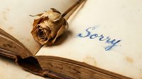 Dried rose resting on an open vintage book with the word Sorry written in blue ink, evoking regret, apology, and nostalgia.