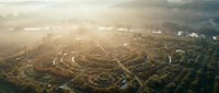Aerial view of suburban residential neighborhood with winding streets and houses surrounded by trees during golden hour sunrise or sunset with atmospheric haze.