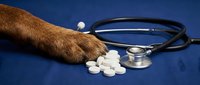 Veterinary professional holding stethoscope with scattered white pills and capsules on blue surface, representing animal healthcare, medicine and treatment.