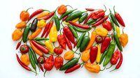 Colorful hot chili peppers collection with red, yellow, orange and green varieties arranged on white background for culinary and cooking designs.