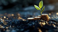 Growing plant sprout on stack of coins against dark soil and golden bokeh background symbolizing financial growth and sustainable investment success.