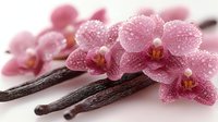 Pink orchid flowers with water drops on vanilla pods against light background, fresh aromatic spice and tropical flora composition for spa and wellness design.