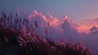 Dramatic purple sunset sky with fluffy clouds over wild grass field. Romantic evening landscape with pink and violet colors for nature backgrounds.