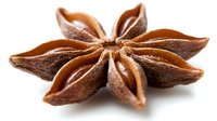 Star anise pod with eight pointed segments in brown tones isolated on pure white background, macro photography showing detailed texture and natural pattern.
