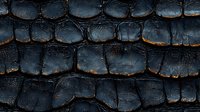 Charred wood texture showing deep black cracked pattern with burnt edges. Natural abstract background of scorched timber surface reveals organic geometric shapes.