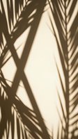 Tropical palm leaf shadows cast on beige wall creating natural geometric patterns for interior design and summer vacation concepts.