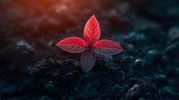 Vibrant red leaves emerging from dark soil against moody blue background, dramatic nature photography with selective focus and artistic lighting effect.