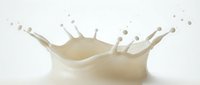 Fresh milk splash creating dynamic crown shape with droplets on white background for dairy and beverage advertising campaigns.