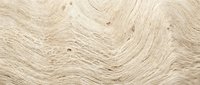 Beige wood grain texture with swirling natural patterns and knots, suitable for flooring, furniture, interior design, and background applications.