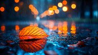Orange autumn leaf on wet asphalt during rain with blurred bokeh lights creating magical atmosphere. Reflection creates mirror effect in water puddle.