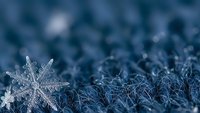 Delicate snowflake resting on frost-covered grass in winter morning light with shallow depth of field creating dreamy bokeh background atmosphere.