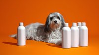 Gray shaggy dog lying between white cosmetic bottles on vibrant orange background. Minimalist pet care and grooming concept for advertising and design.