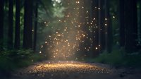 Magical forest path illuminated by glowing particles floating in dark misty woods, creating ethereal atmosphere on dirt trail between tall trees at dusk.