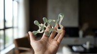 Caucasian hand holding small succulent plant with pale green leaves and pink-toned stems indoors near window with blurred home interior background.