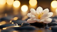 Delicate white jasmine flower on dark spa stones with soft golden bokeh lights creating peaceful zen atmosphere for wellness and meditation background.