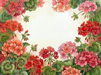 Watercolor geranium floral frame with red and pink blooms, green leaves, and soft center copy space for text or design.